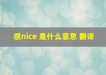 很nice 是什么意思 翻译